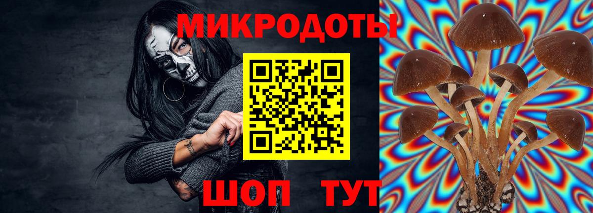 Галлюциногенные грибы ЛСД Алатырь