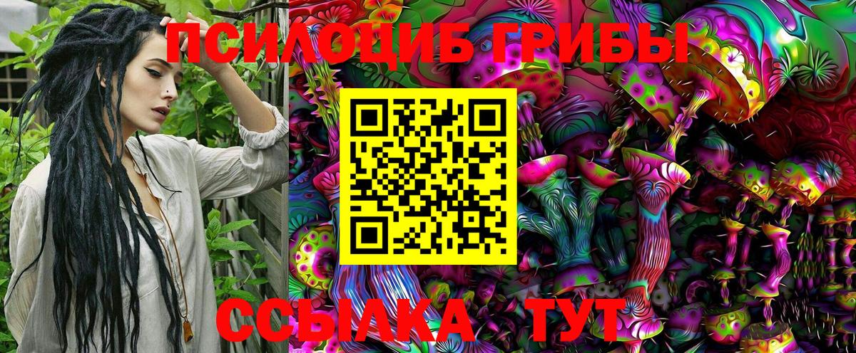 Галлюциногенные грибы MAGIC MUSHROOMS  закладка  Алатырь  Вход с VPN 